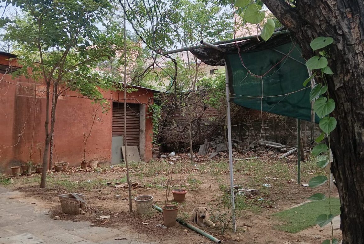 Premium Plot Available for Sale