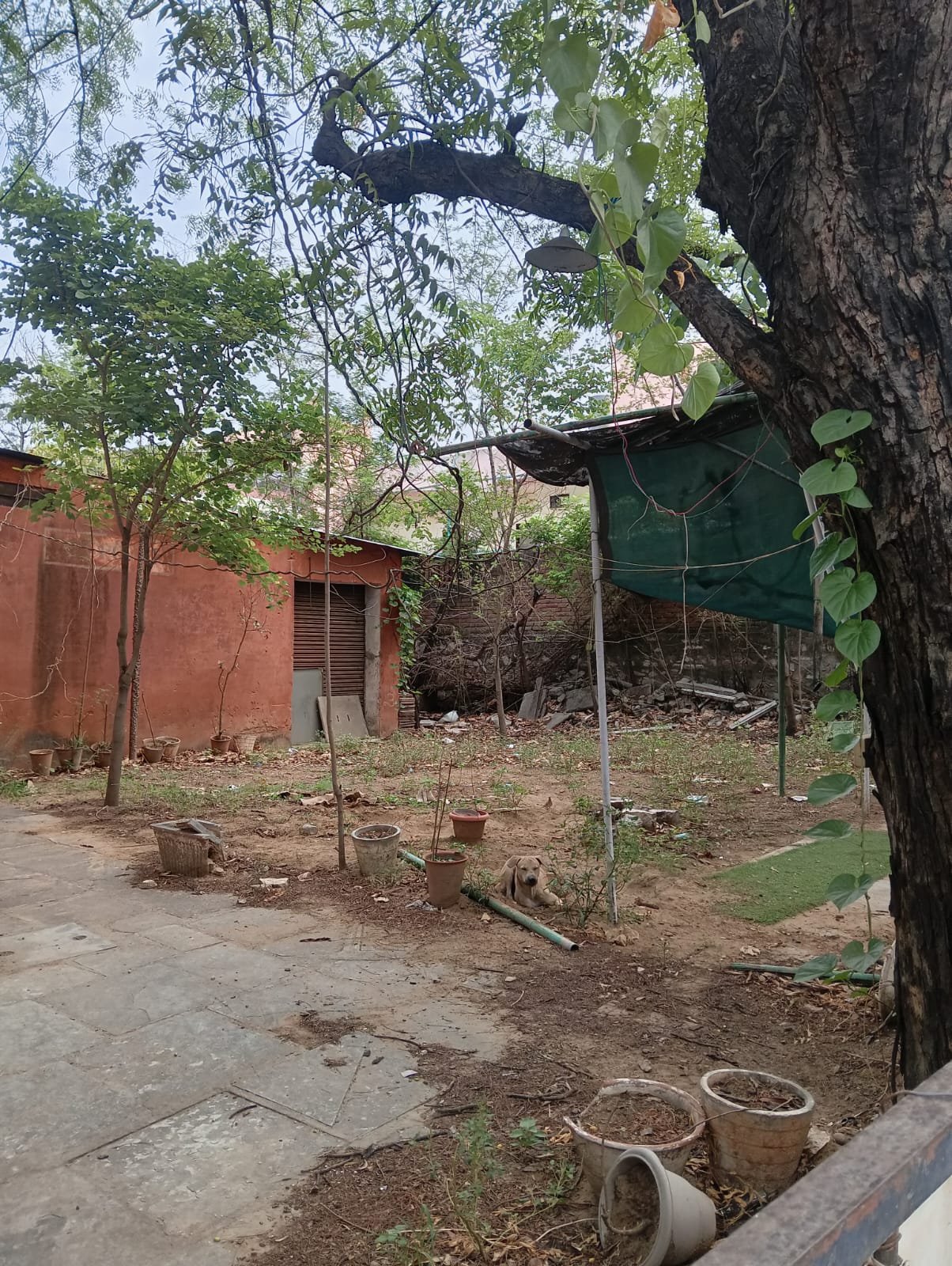Premium Plot Available for Sale