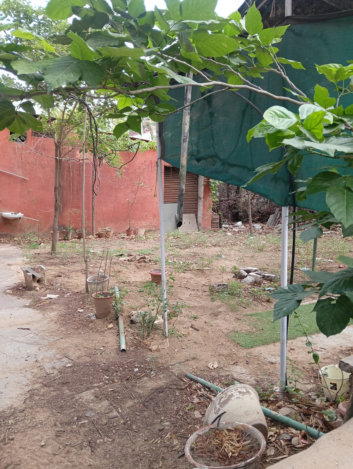 Premium Plot Available for Sale